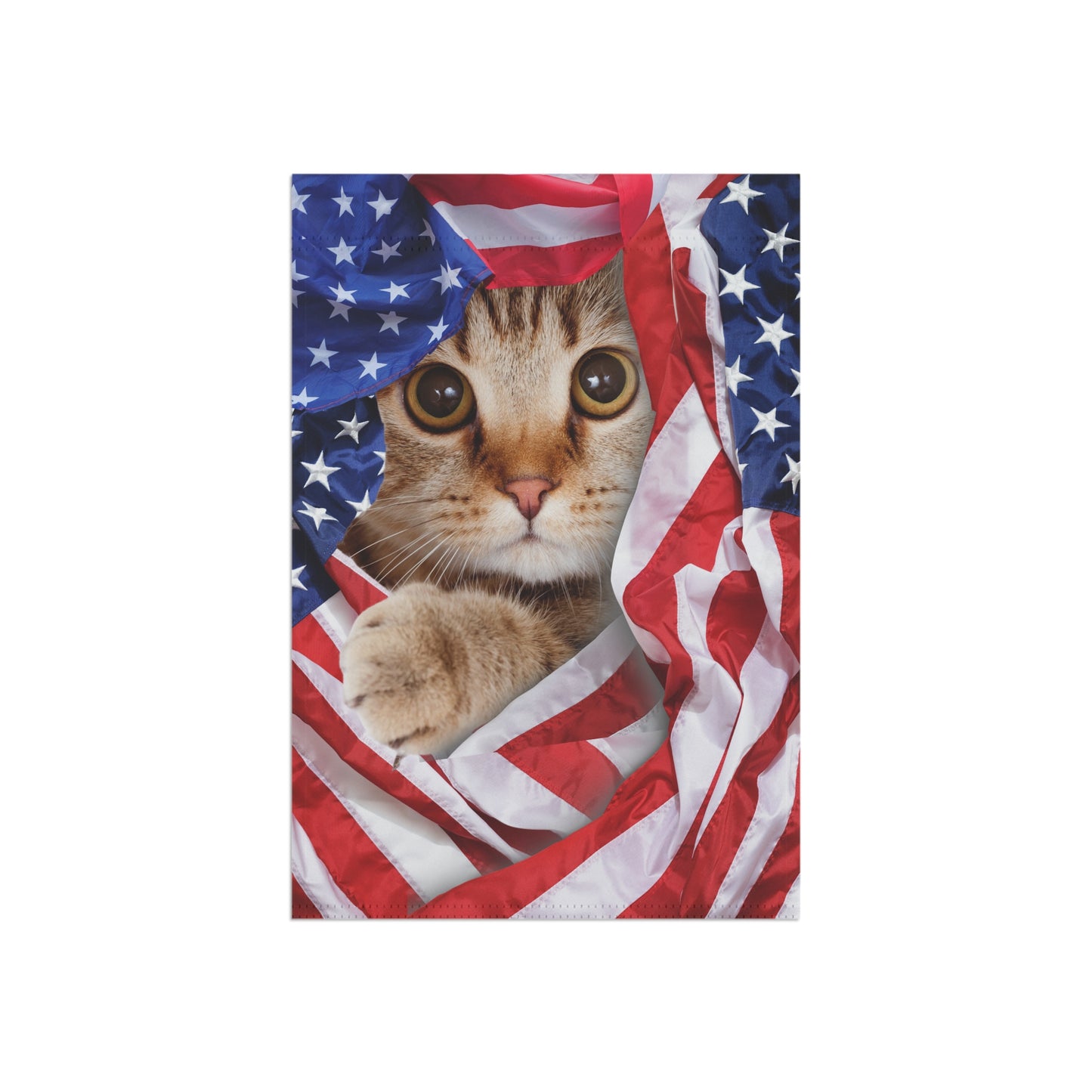 American Cat Whimsical Garden Banner, Playful Outdoor Sign, Dragon Decoration, Unique Yard Art, Sarcastic Home Décor, Garden Humor