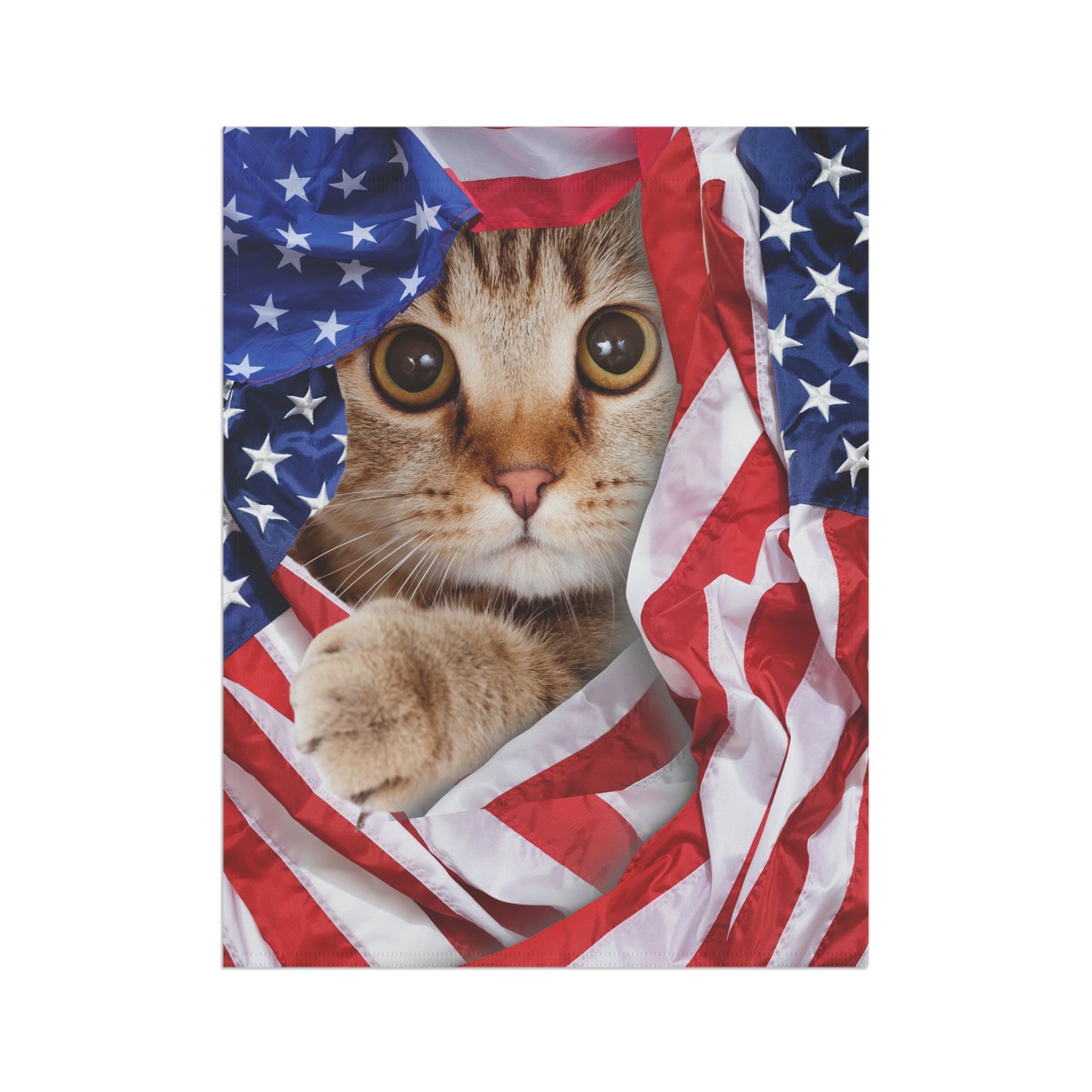 American Cat Whimsical Garden Banner, Playful Outdoor Sign, Dragon Decoration, Unique Yard Art, Sarcastic Home Décor, Garden Humor