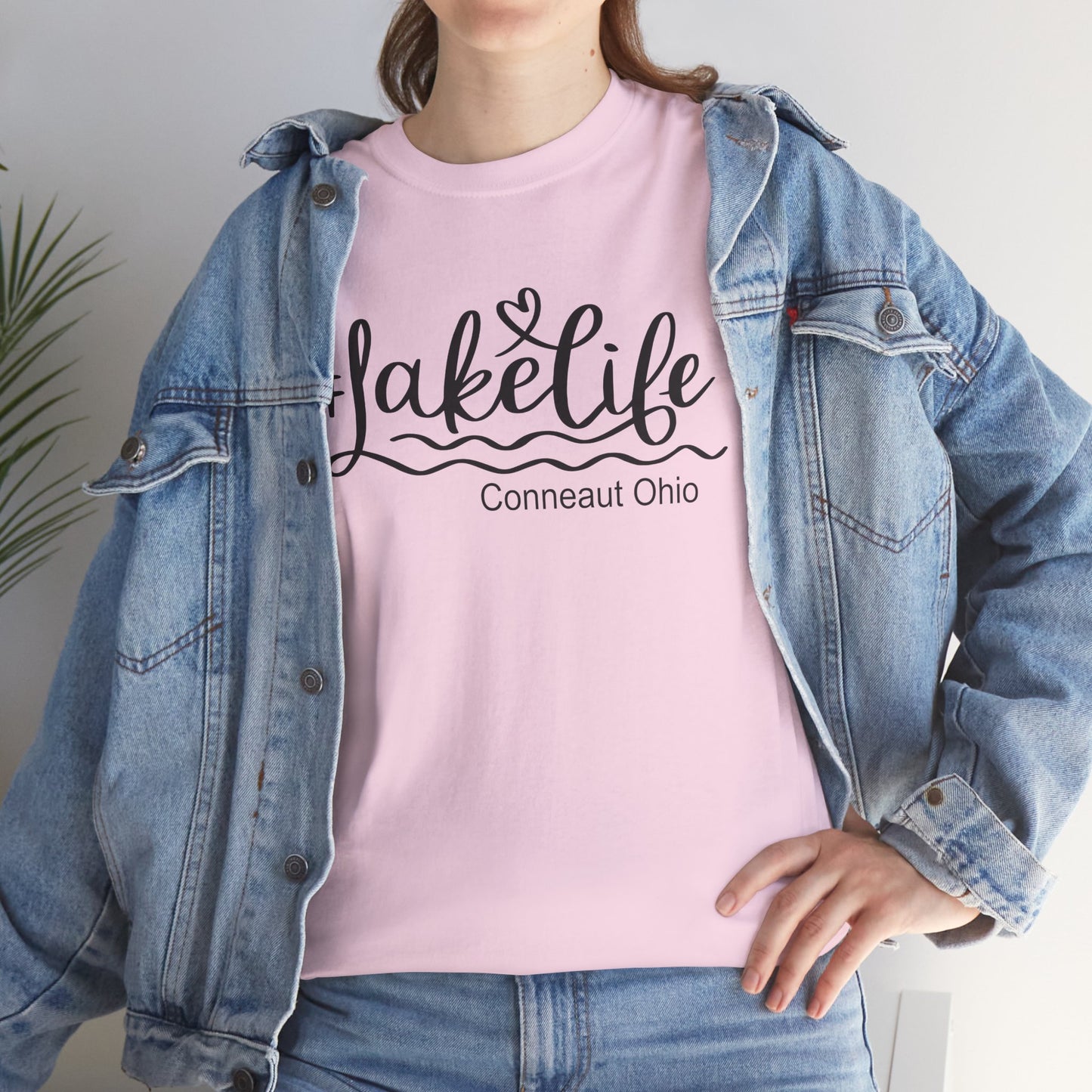 Lake Life Conneaut Ohio