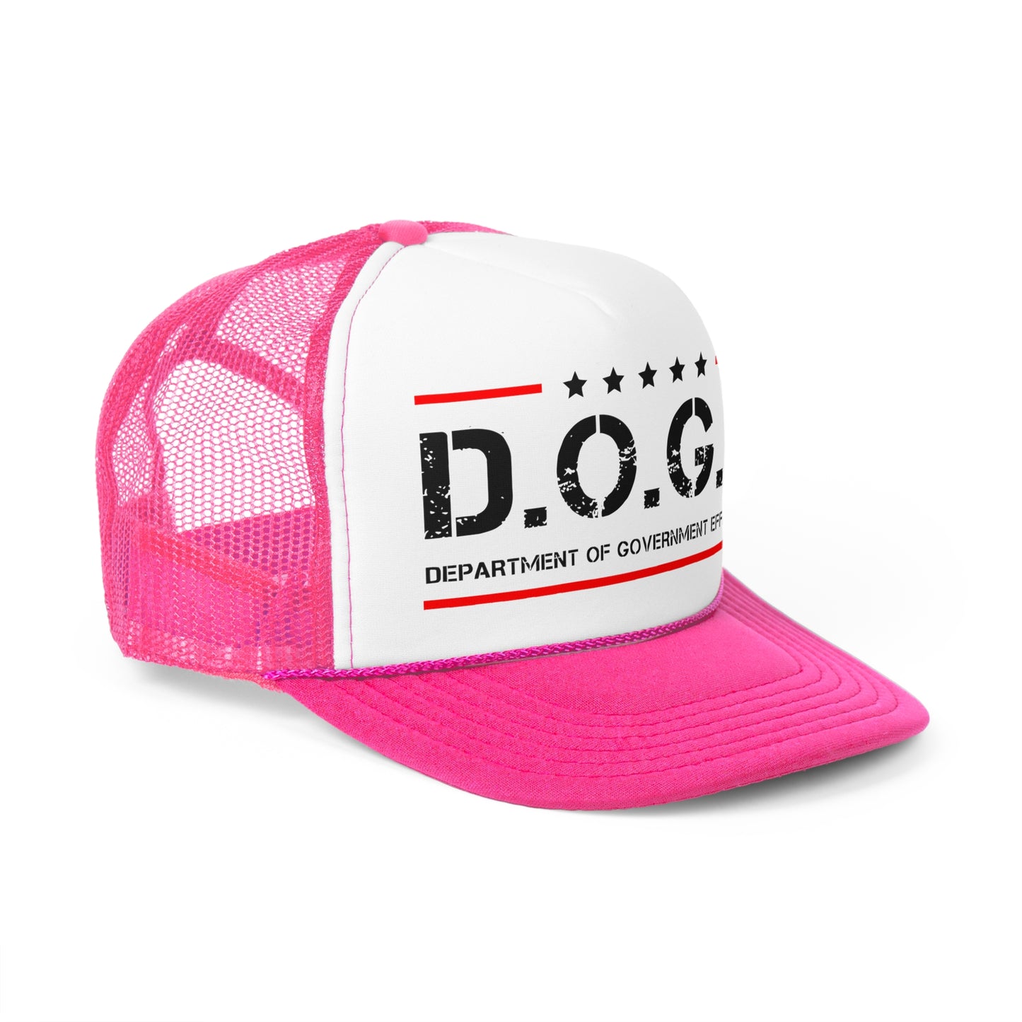D.O.G.E Department Of Government Efficiency