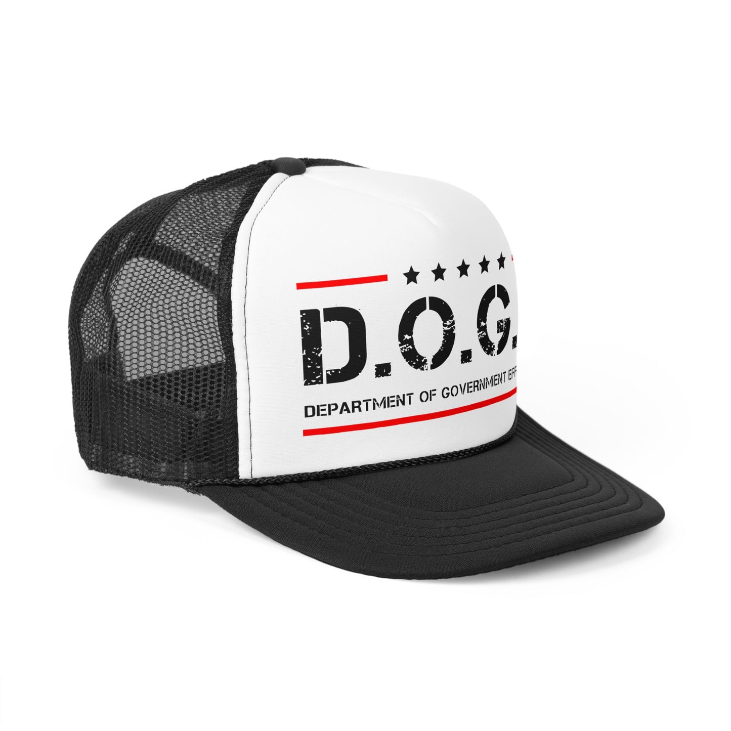 D.O.G.E Department Of Government Efficiency