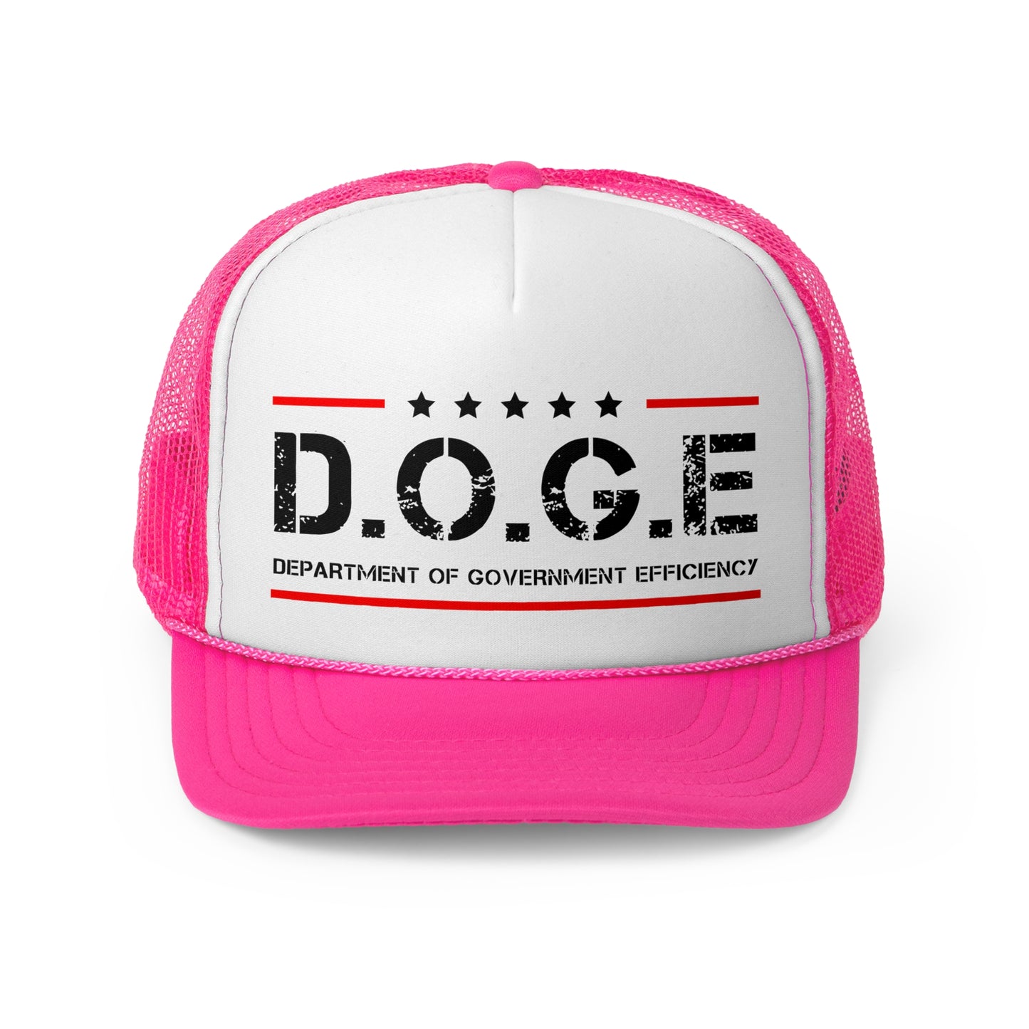D.O.G.E Department Of Government Efficiency