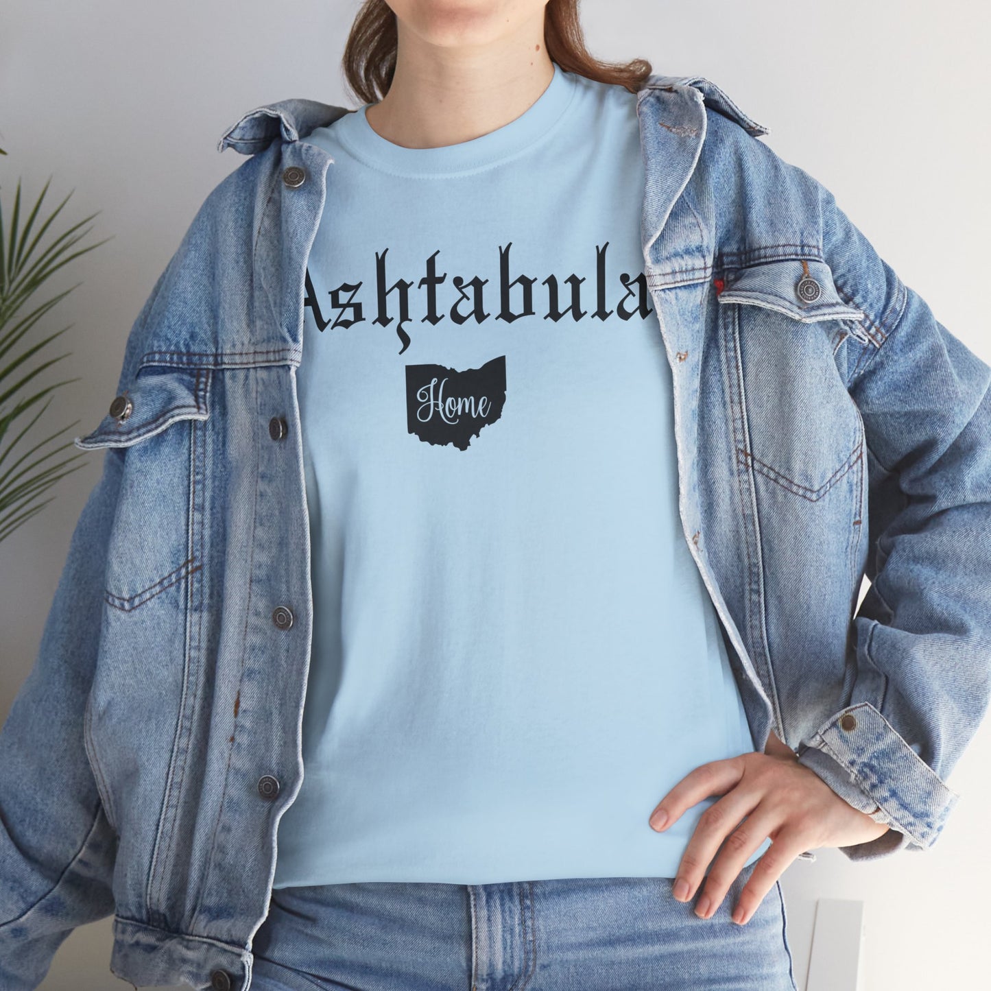 Ashtabula Home Tee Shirt, Unisex Cotton Shirt, Movie Lovers Apparel, Cozy Family Tee