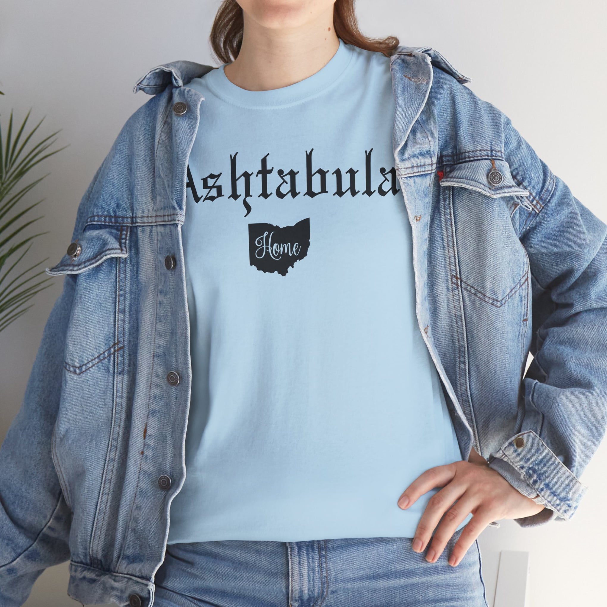 Ashtabula Home Tee Shirt, Unisex Cotton Shirt, Movie Lovers Apparel, Cozy Family Tee